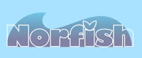 norfish Strona internetowa wykonana przez pracownię stron www F.H.U. Jurand Bytom